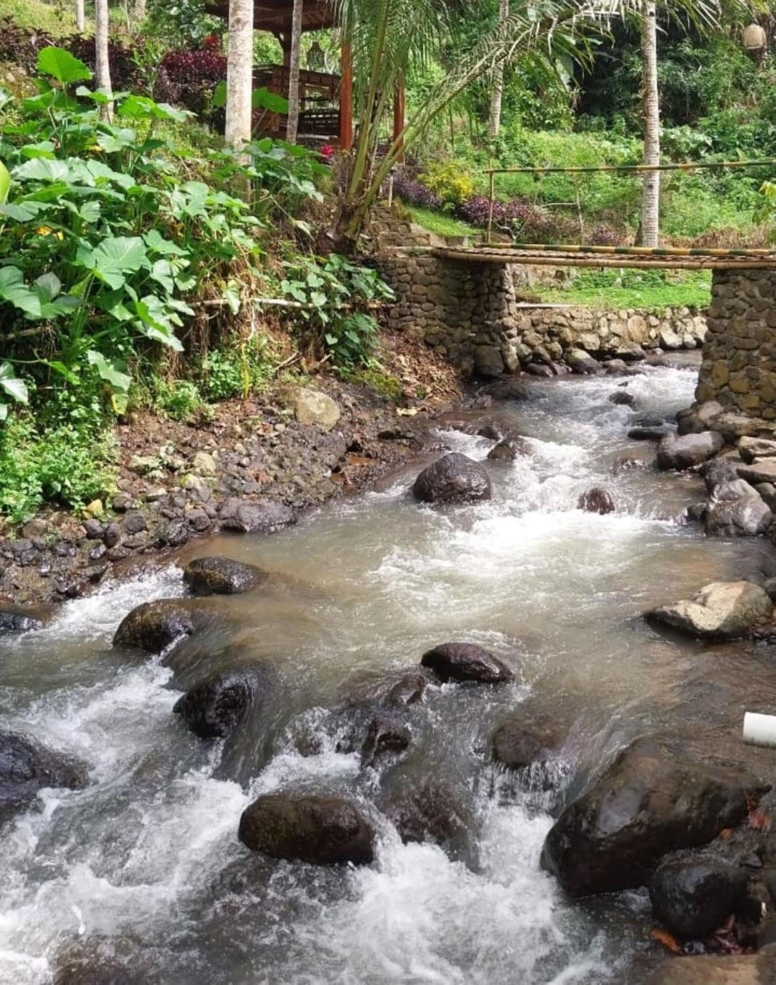 바뉴왕기 Kampoeng Joglo Ijen 빌라 외부 사진