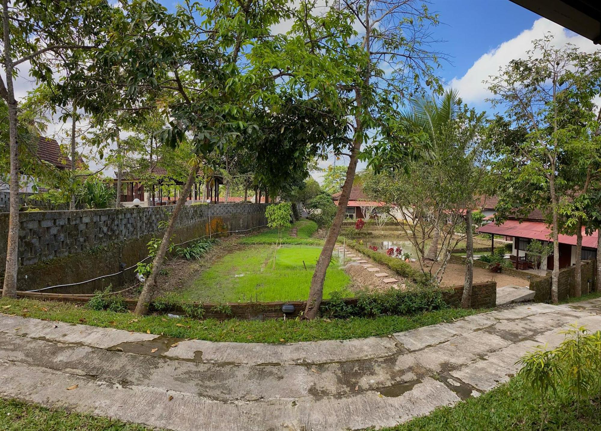 바뉴왕기 Kampoeng Joglo Ijen 빌라 외부 사진