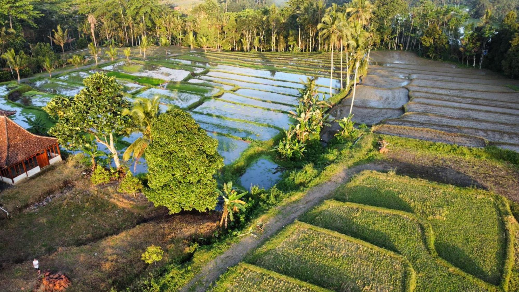 바뉴왕기 Kampoeng Joglo Ijen 빌라 외부 사진